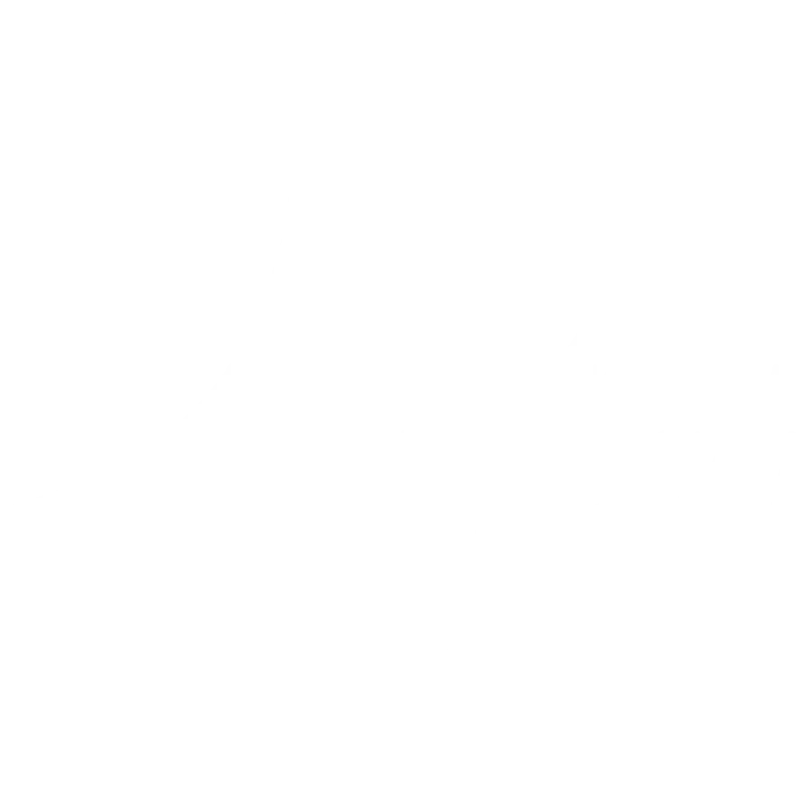 dzyga