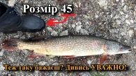 Це МАЄ ЗНАТИ кожен РИБАК, який хоче зловити ТРОФЕЙНУ ЩУКУ! Теплі ЗИМИ, пилові бурі, пісок Сахари.