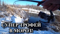 ЗИМА! Ловля щуки в МОРОЗ -10! Супер Трофей!