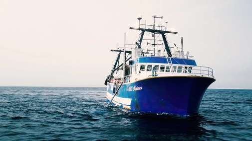 Серия 5. Изменчивое море