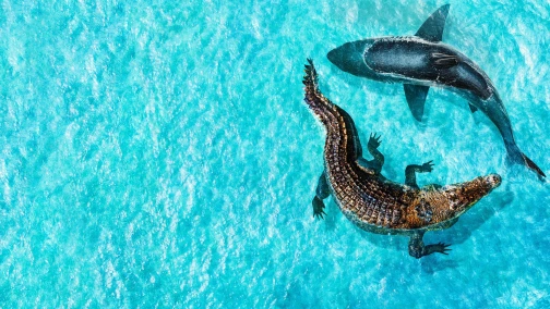 Щелепи проти мегакрокодила