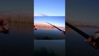Весенние караси на поплавок