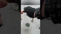 Ловлю зимового карася з криги