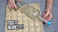 I took a bottle, an egg tray, and did something incredible! You won't throw them away anymore!