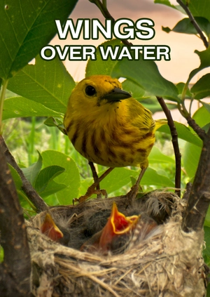 Wings Over Water