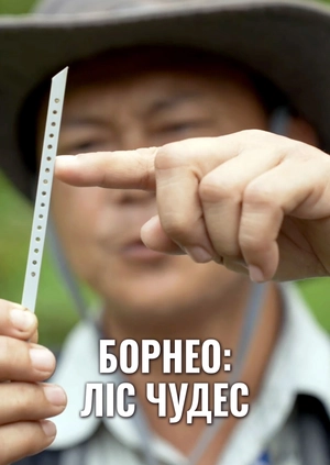 Борнео: Ліс чудес