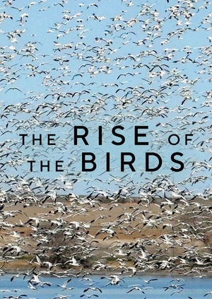The Rise of the Birds