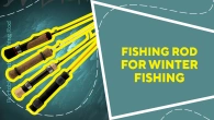Fishing rod for winter fishing