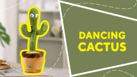 Dancing cactus