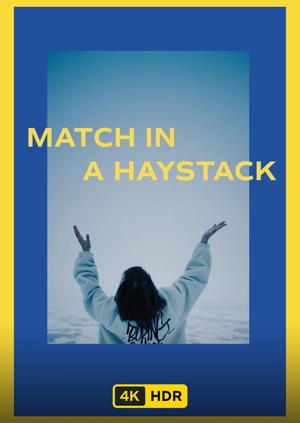 Match In A Haystack UHD HDR