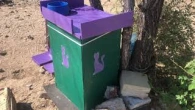 Будиночки для безпритульних тварин своїми силами