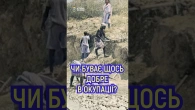 Що хорошого буває в ОКУПАЦІЇ?