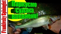 Весняний судак на воблер! Golden Catch Vertais в дії - паркуємо судака впевнено!