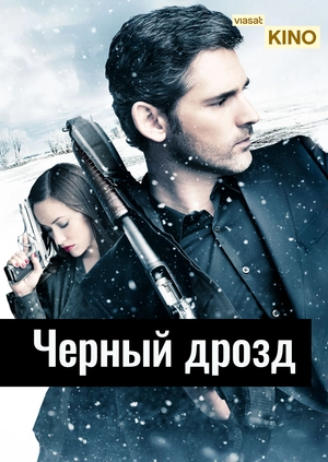 Черный дрозд