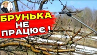 БРУНЬКИ НАС ПІДВЕЛИ Рання Весняна Обробка Саду Від Хвороб Та Шкідників Препаратом Брунька