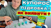 ПЕРЕВІРКА ЯКОСТІ КУПОРОСУ: Чому Метод Цвяхом Не Працює і Що Робити?