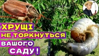 ХРУЩІ АТАКУЮТЬ. Від Хрущів та Хробаків Надійний та Перевірений Метод!