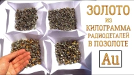 ЗОЛОТО ИЗ КИЛОГРАММА РАДИОДЕТАЛЕЙ В ПОЗОЛОТЕ!