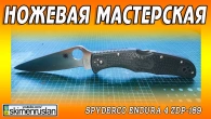 Серія 499