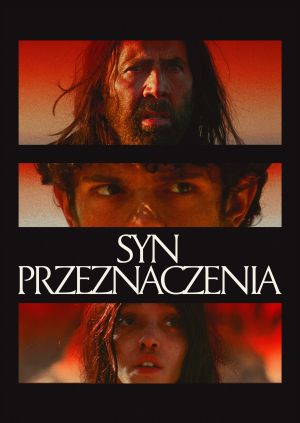 Syn przeznaczenia — plakat