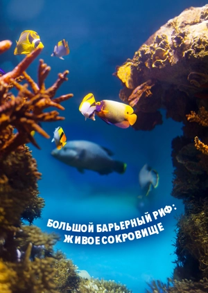 Большой Барьерный риф: живое сокровище