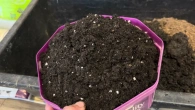 Как сделать грунт для перевалки рассады перца, баклажан, томатов.