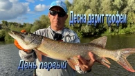 Трофейная рыбалка по щуке. День первый