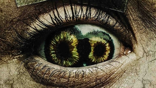 Never Blink