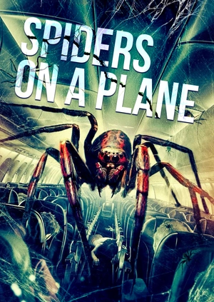 Spiders on a Plane