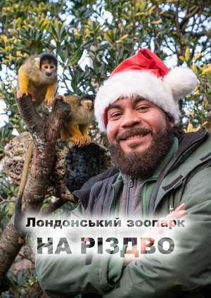 Лондонський зоопарк на Різдво