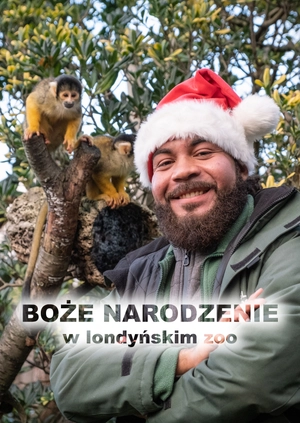 Boże Narodzenie w londyńskim zoo