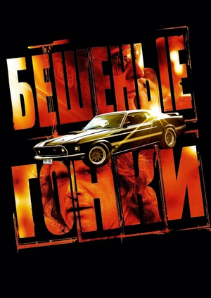 Бешеные гонки