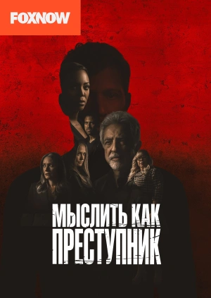 Мыслить как преступник