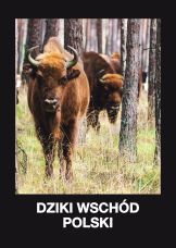 Dziki Wschód Polski — plakat
