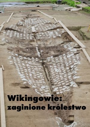 Wikingowie: zaginione królestwo — plakat