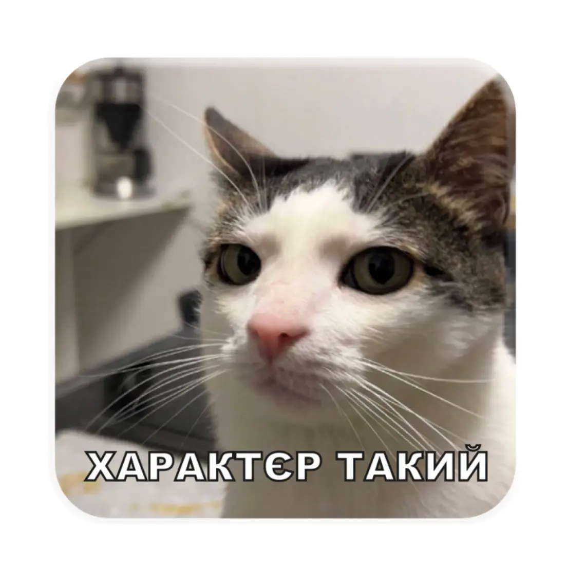3D стікер «Характєр такий»