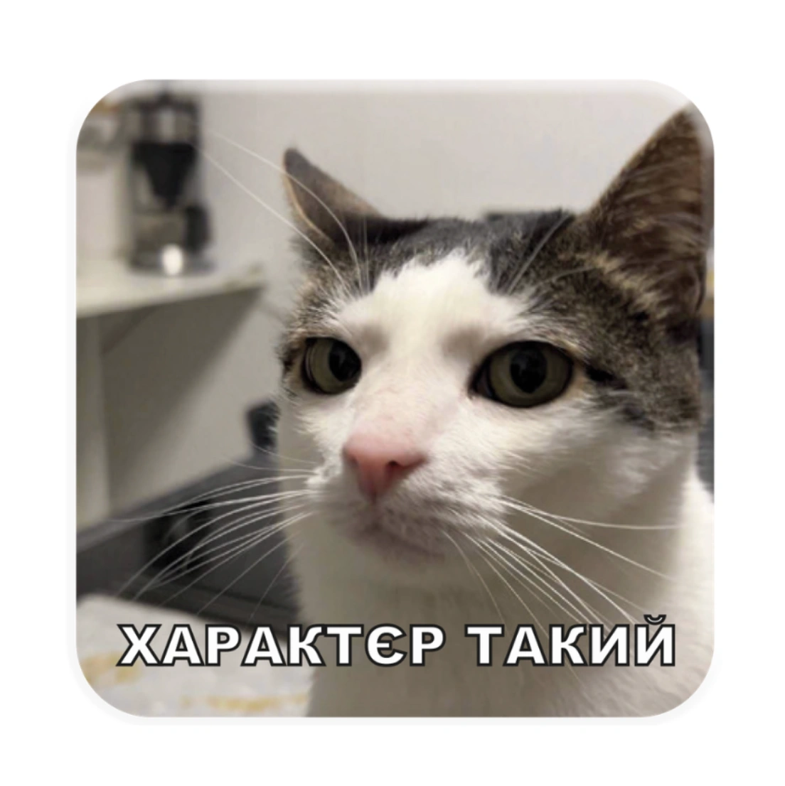 3D стікер «Характєр такий»