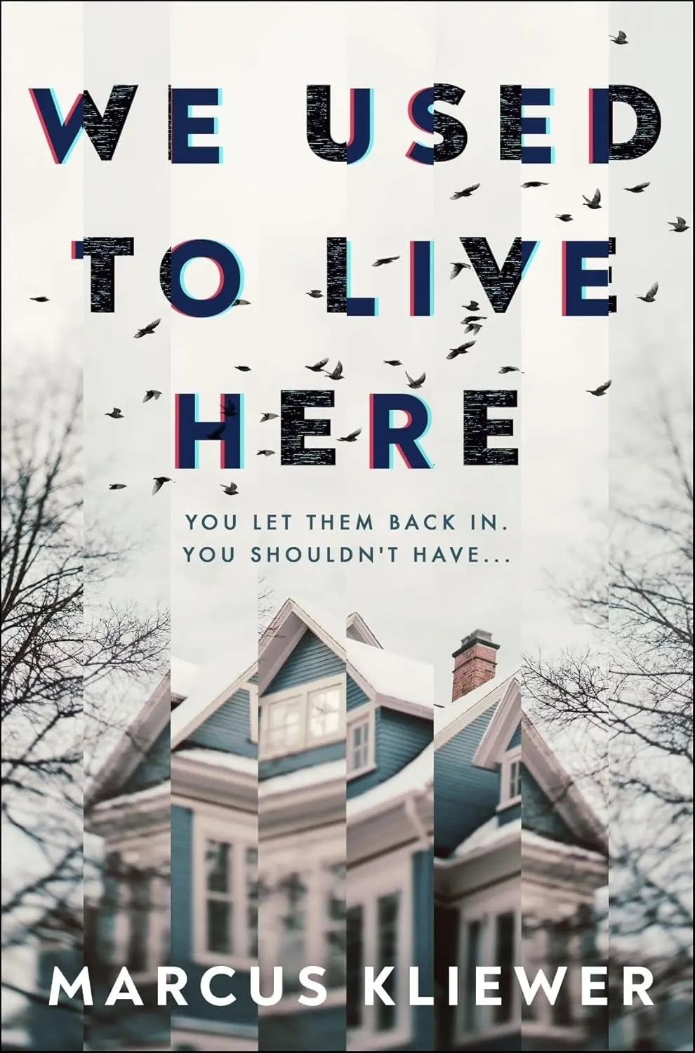 Обкладника "We Used to Live Here" Обкладинка "We Used to Live Here"