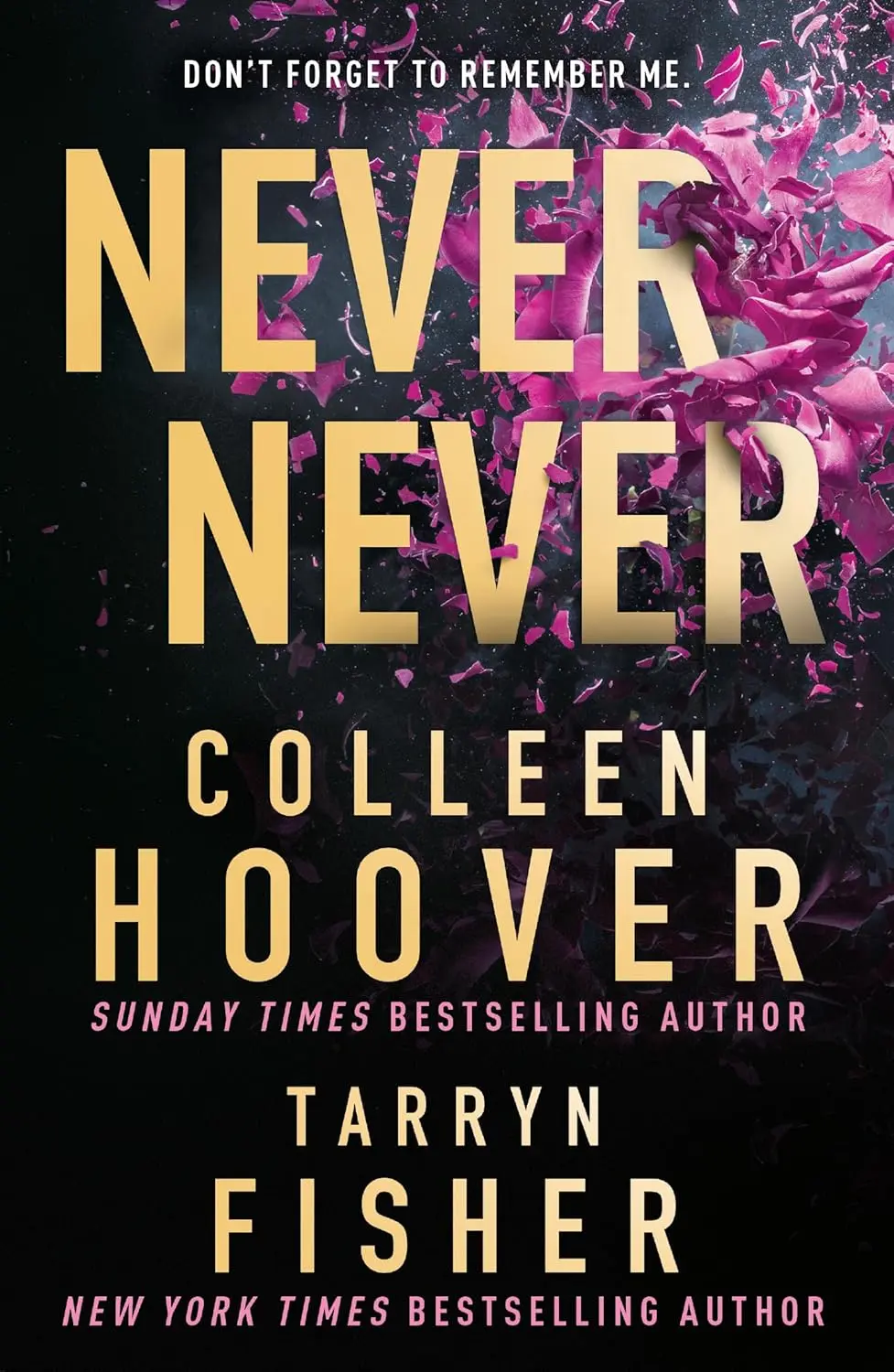 Обкладинка "Never Never"
