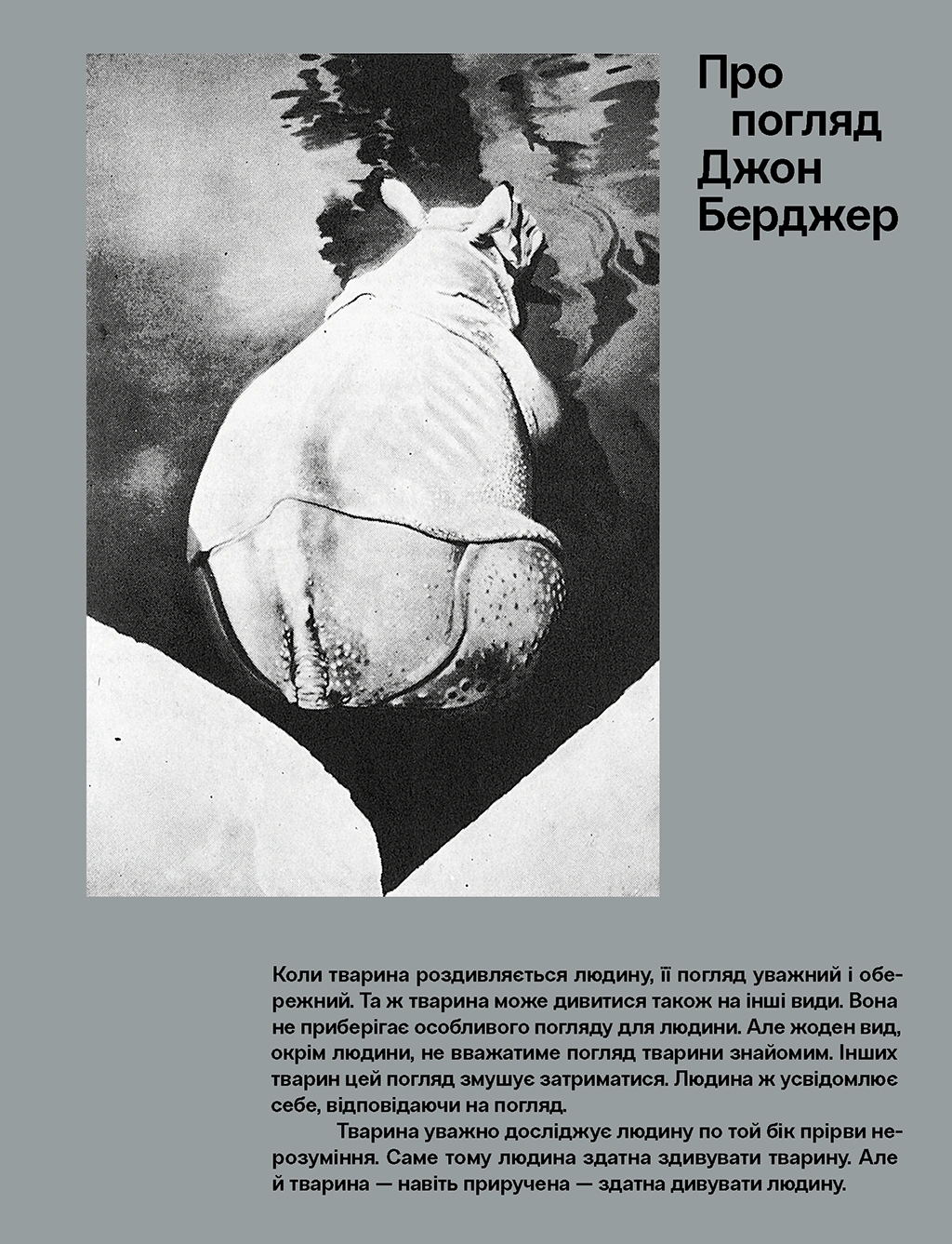 Про погляд