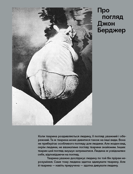 Про погляд