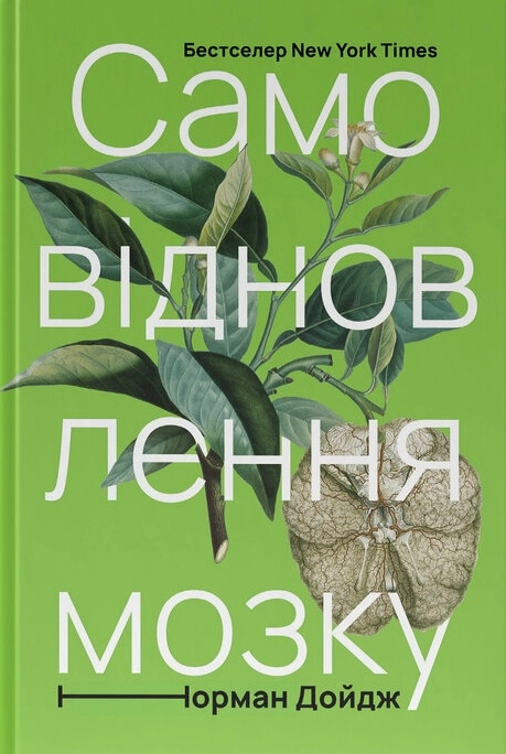 Самовідновлення мозку