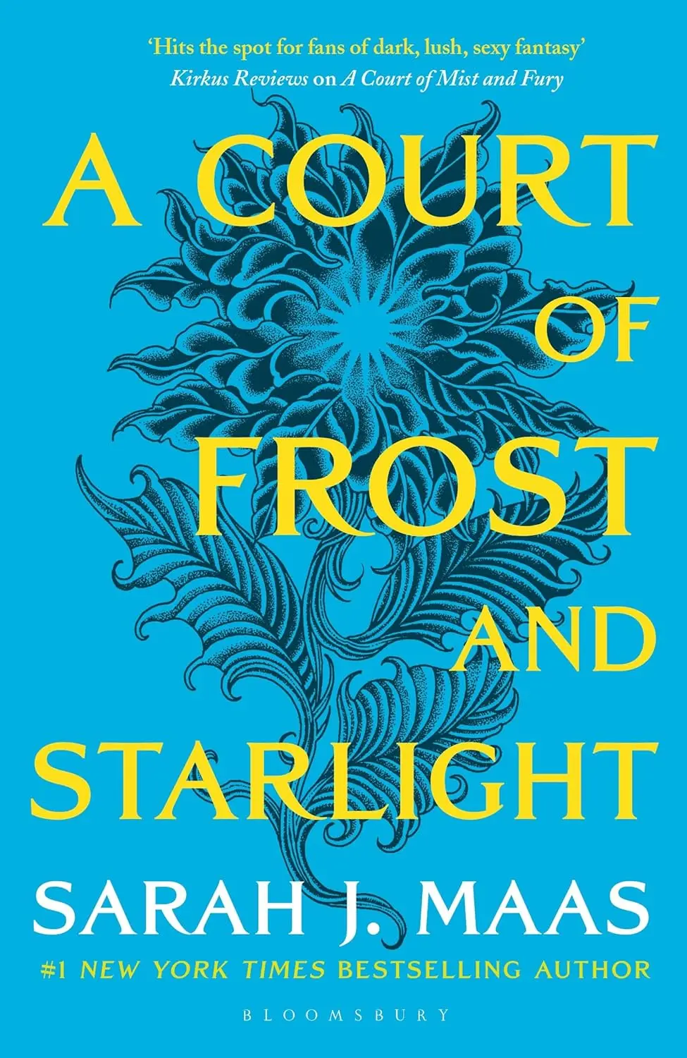 Обкладника "A Court of Frost and Starlight" Обкладинка "A Court of Frost and Starlight"