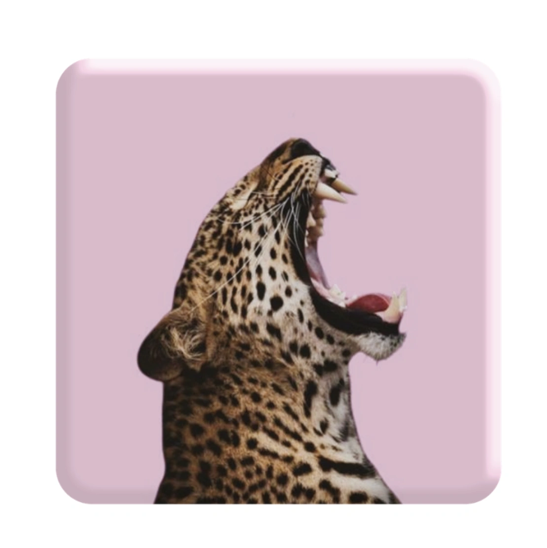 3D стікер «Pink wild cat»
