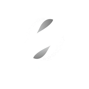 Кривбас — Рух