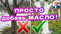Серія 374