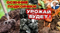 Серія 351