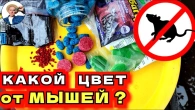 БИТВА ПРИМАНОК: как Избавиться от Мышей и Крыс на даче?