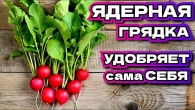 ВЫРАЩИВАЙТЕ РЕДИС ТОЛЬКО НЕ ТАК! Как весной вырастить крупный редис в теплой грядке?