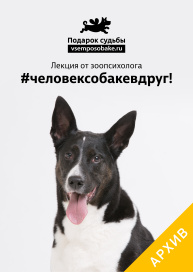#человексобакевдруг! от зоопсихолога
